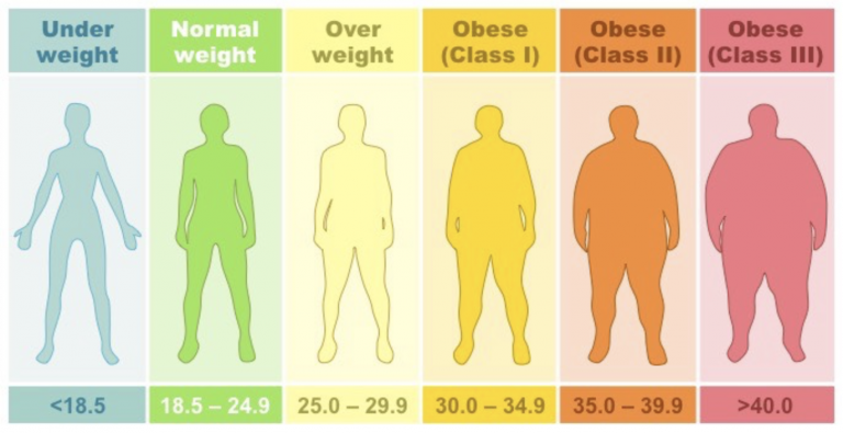 Body Mass Index - BJISG